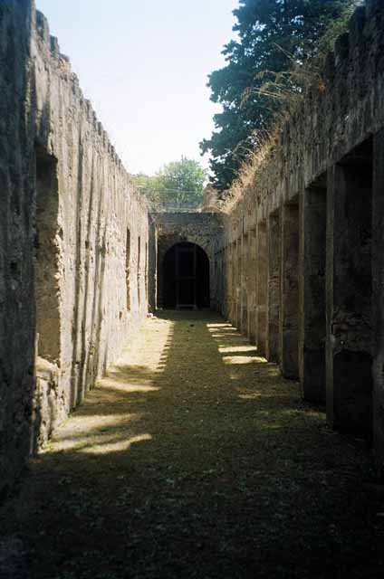 HGW24 Pompeii December 2006 Looking East Along The North Portico